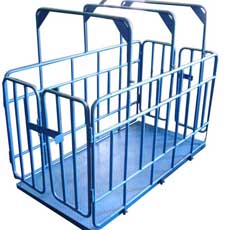 платформенные весы